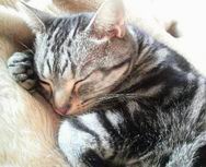 2010110814260001.JPG