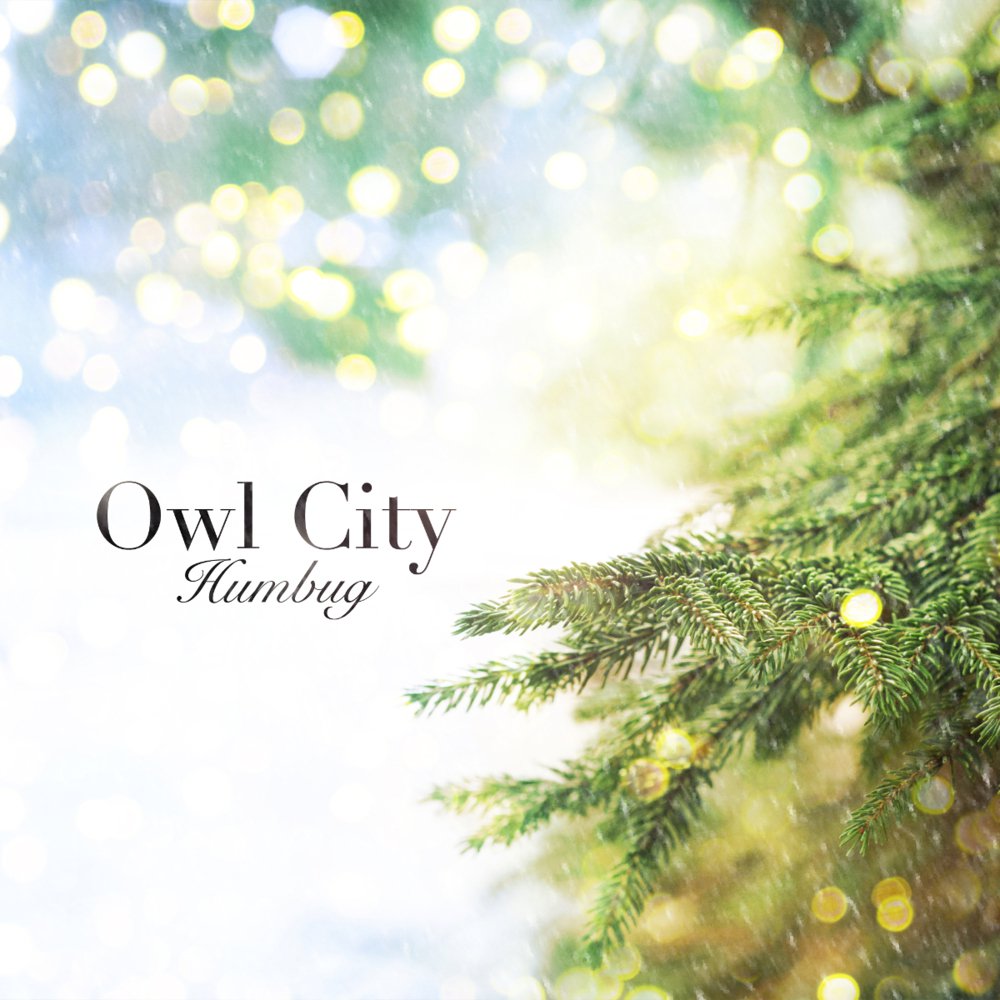 owl city.jpg